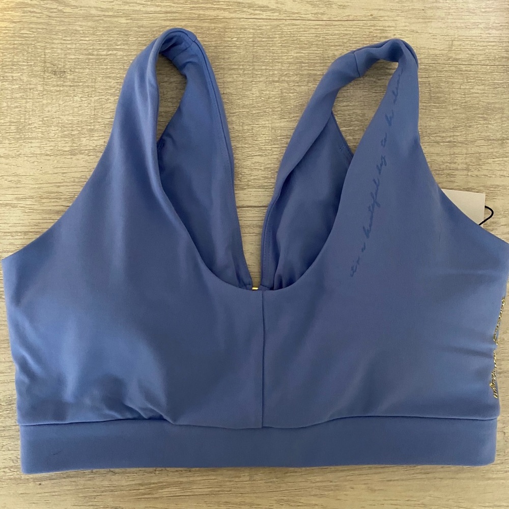 GS x Whitney Simmons Sports Bra - Blue